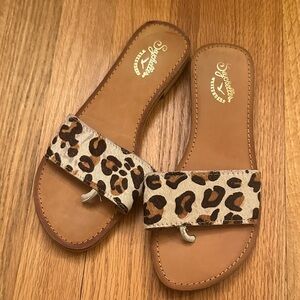 Seychelles weekenders Leopard Print Slide Sandals women size 6